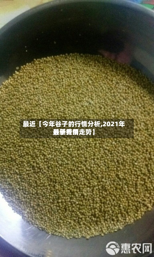 最近【今年谷子的行情分析,2021年谷子费用最新行情走势】