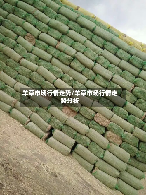 羊草市场行情走势/羊草市场行情走势分析