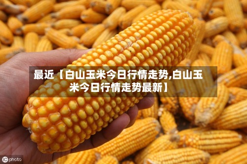 最近【白山玉米今日行情走势,白山玉米今日行情走势最新】-第2张图片