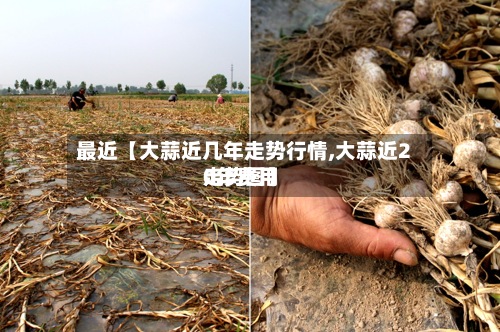 最近【大蒜近几年走势行情,大蒜近20年费用走势图】-第3张图片