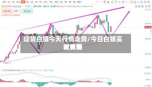 现货白银今天行情走势/今日白银实时费用
走势图