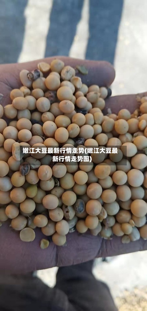 嫩江大豆最新行情走势(嫩江大豆最新行情走势图)
