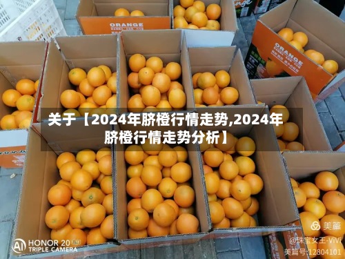 关于【2024年脐橙行情走势,2024年脐橙行情走势分析】-第3张图片