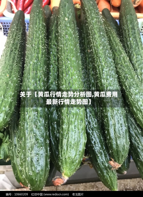 关于【黄瓜行情走势分析图,黄瓜费用
最新行情走势图】-第2张图片