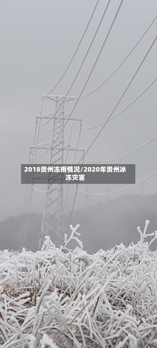 2018贵州冻雨情况/2020年贵州冰冻灾害