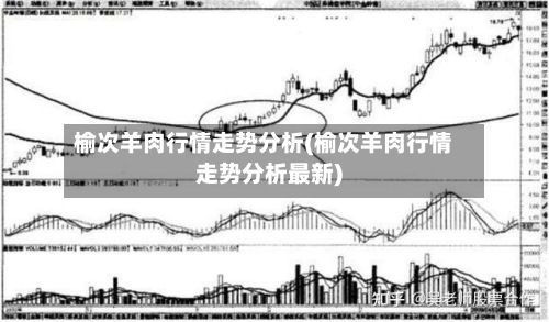 榆次羊肉行情走势分析(榆次羊肉行情走势分析最新)-第3张图片
