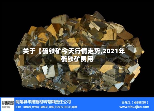 关于【硫铁矿今天行情走势,2021年硫铁矿费用
】-第3张图片