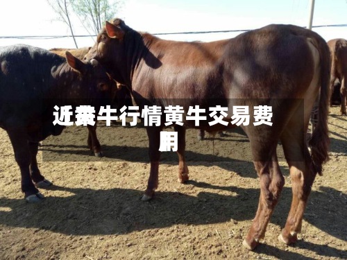 近来
【黄牛行情黄牛交易费用
】