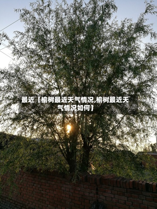 最近【榆树最近天气情况,榆树最近天气情况如何】
