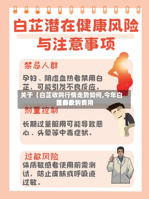 关于【白芷收购行情走势如何,今年白芷的收购费用
是多少】-第3张图片