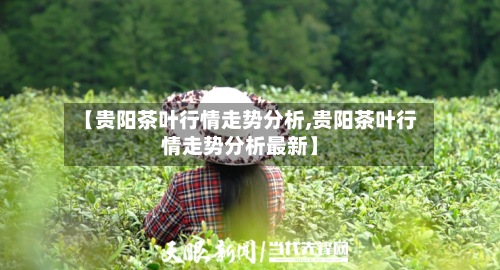 【贵阳茶叶行情走势分析,贵阳茶叶行情走势分析最新】-第3张图片