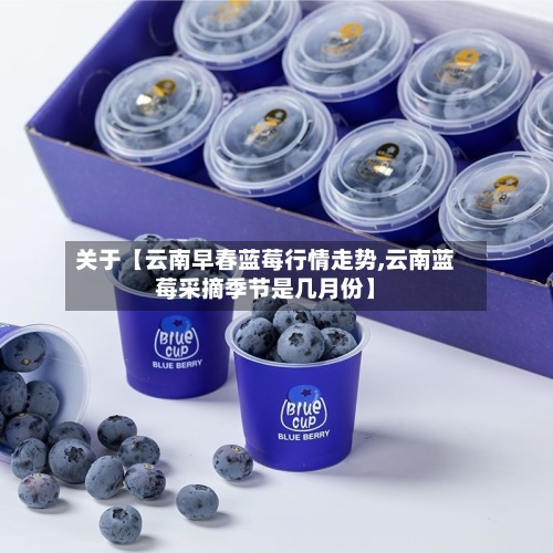 关于【云南早春蓝莓行情走势,云南蓝莓采摘季节是几月份】-第2张图片