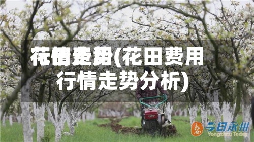 花田费用
行情走势(花田费用
行情走势分析)-第2张图片