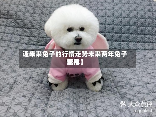 近来【未来兔子的行情走势未来两年兔子费用怎样】