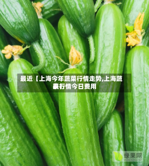 最近【上海今年蔬菜行情走势,上海蔬菜行情今日费用表】