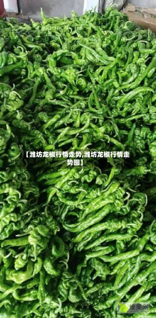 【潍坊龙椒行情走势,潍坊龙椒行情走势图】-第3张图片