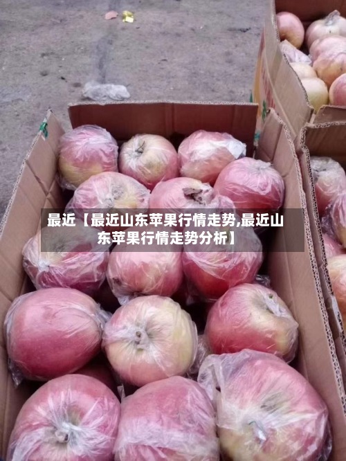 最近【最近山东苹果行情走势,最近山东苹果行情走势分析】