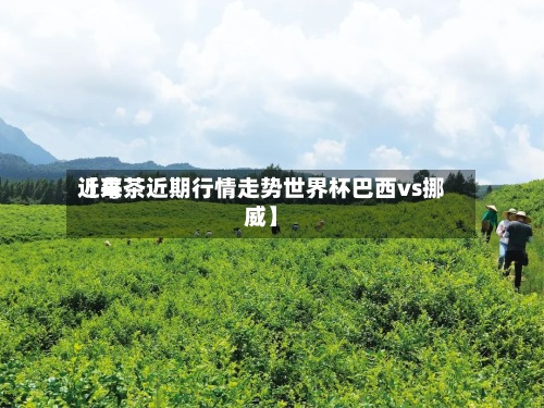 近来
【莓茶近期行情走势世界杯巴西vs挪威】-第3张图片