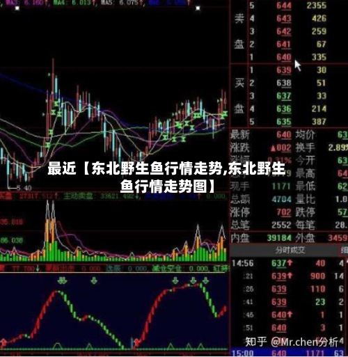 最近【东北野生鱼行情走势,东北野生鱼行情走势图】-第3张图片