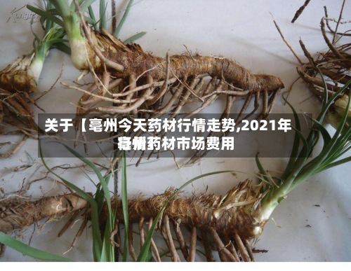 关于【亳州今天药材行情走势,2021年亳州药材市场费用行情】-第2张图片