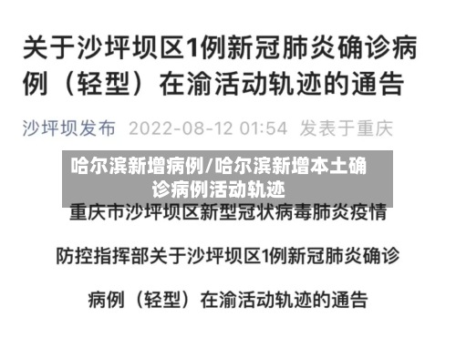 哈尔滨新增病例/哈尔滨新增本土确诊病例活动轨迹-第2张图片
