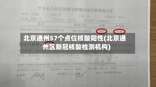北京通州57个点位核酸阳性(北京通州区新冠核酸检测机构)-第2张图片