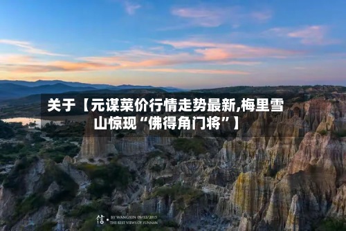 关于【元谋菜价行情走势最新,梅里雪山惊现“佛得角门将	”】-第3张图片