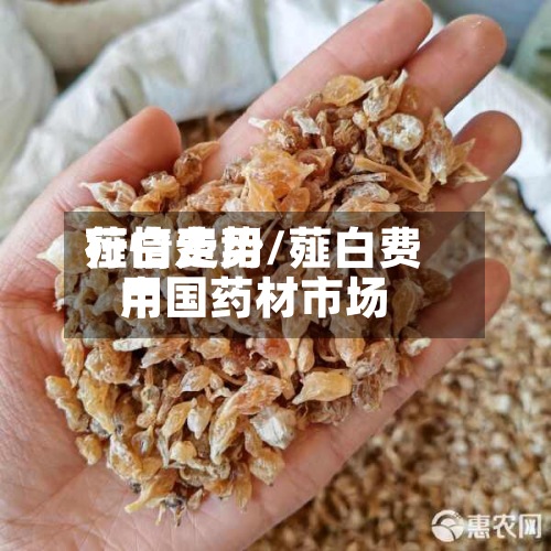 薤白费用行情走势/薤白费用中国药材市场-第3张图片