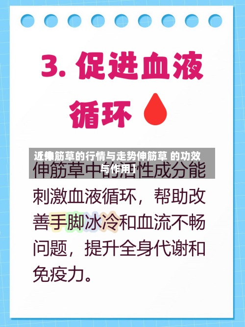 近来
【伸筋草的行情与走势伸筋草 的功效与作用】-第3张图片