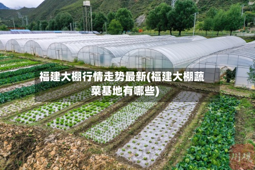 福建大棚行情走势最新(福建大棚蔬菜基地有哪些)-第2张图片