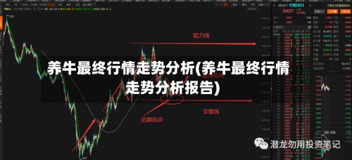 养牛最终行情走势分析(养牛最终行情走势分析报告)