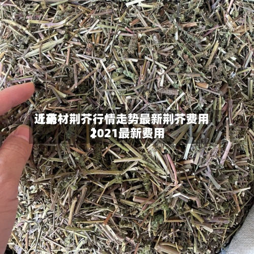 近来
【药材荆芥行情走势最新荆芥费用
2021最新费用
】