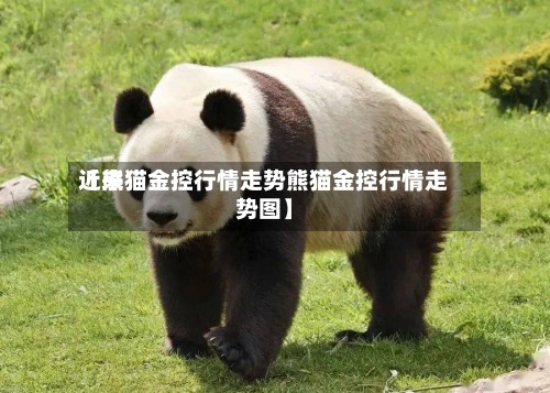 近来【熊猫金控行情走势熊猫金控行情走势图】-第2张图片