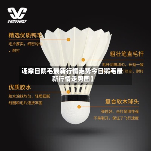 近来【今日鹅毛最新行情走势今日鹅毛最新行情走势图】