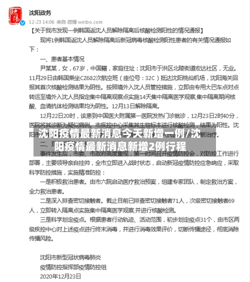 沈阳疫情最新消息今天新增一例/沈阳疫情最新消息新增2例行程-第2张图片