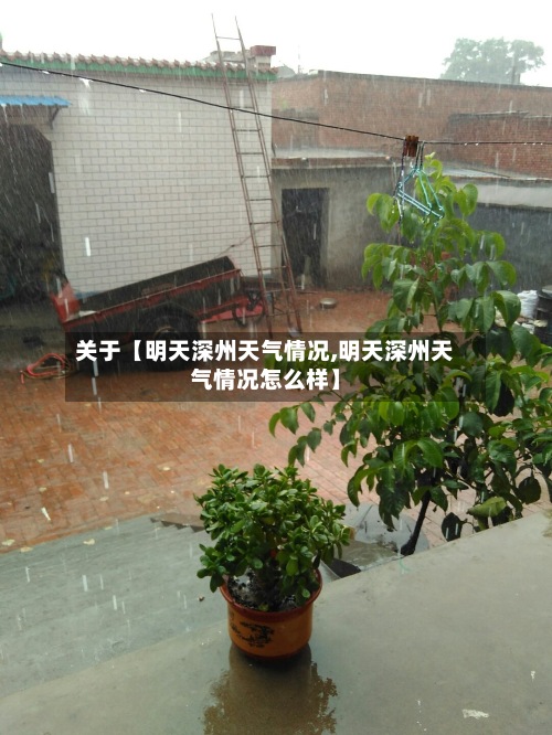 关于【明天深州天气情况,明天深州天气情况怎么样】-第2张图片