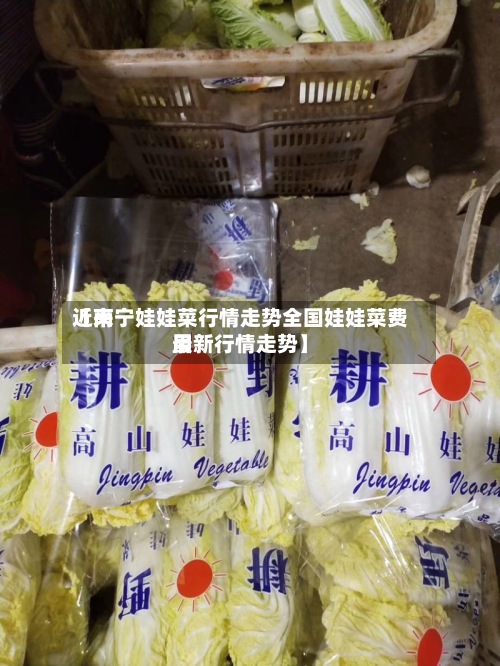 近来
【南宁娃娃菜行情走势全国娃娃菜费用
最新行情走势】-第2张图片