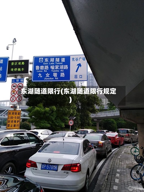 东湖随道限行(东湖随道限行规定)
