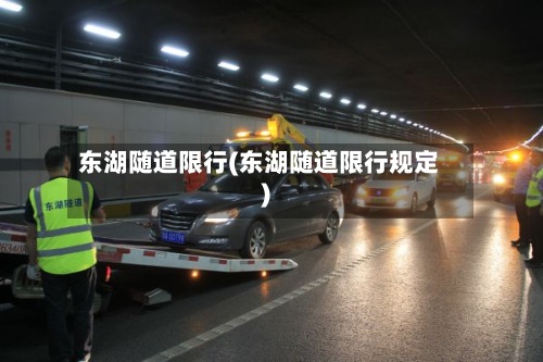 东湖随道限行(东湖随道限行规定)-第2张图片