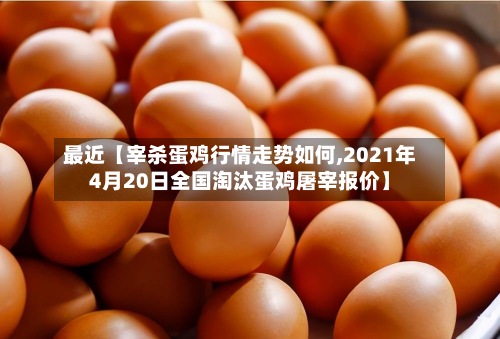 最近【宰杀蛋鸡行情走势如何,2021年4月20日全国淘汰蛋鸡屠宰报价】