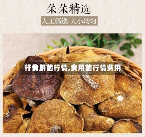 【食用菌行情,食用菌行情费用
行情】-第2张图片