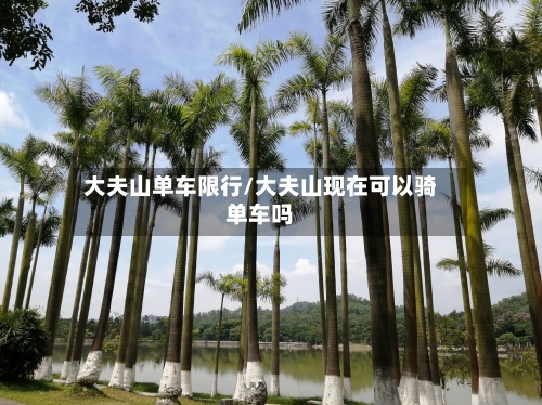 大夫山单车限行/大夫山现在可以骑单车吗-第2张图片