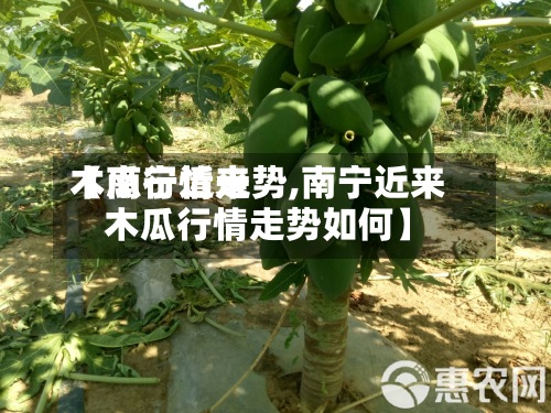 【南宁近来
木瓜行情走势,南宁近来
木瓜行情走势如何】