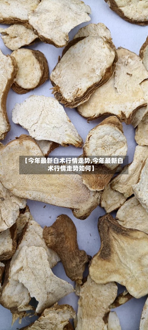 【今年最新白术行情走势,今年最新白术行情走势如何】-第2张图片