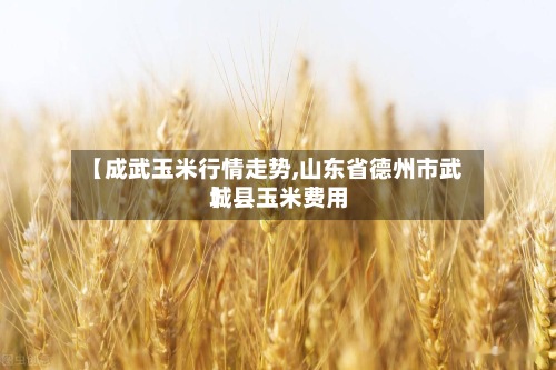 【成武玉米行情走势,山东省德州市武城县玉米费用
】-第2张图片