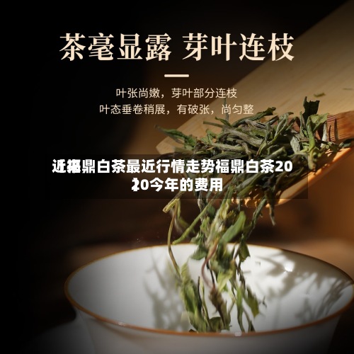 近来
【福鼎白茶最近行情走势福鼎白茶2020今年的费用
】-第3张图片