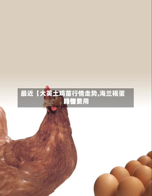 最近【大英土鸡苗行情走势,海兰褐蛋鸡苗费用行情】