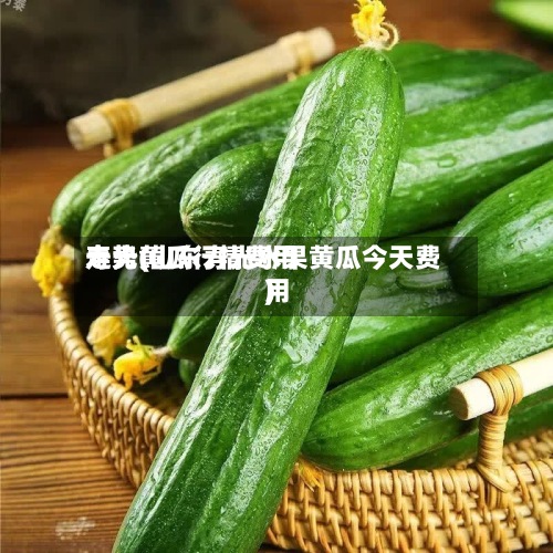 寿光黄瓜行情费用
走势(山东寿光水果黄瓜今天费用
)