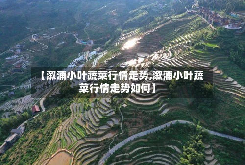 【溆浦小叶蔬菜行情走势,溆浦小叶蔬菜行情走势如何】