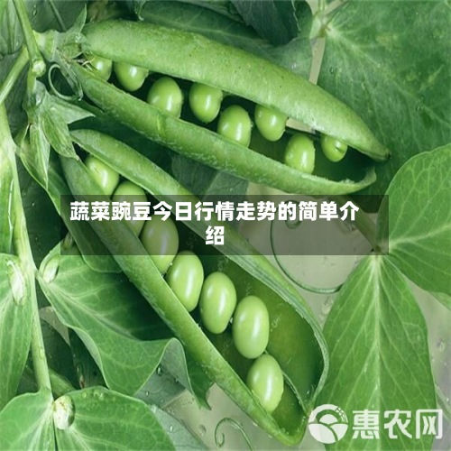 蔬菜豌豆今日行情走势的简单介绍-第2张图片